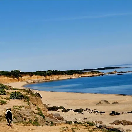 بيت للعطل Sardegna Selvaggia A Due Passi Dal Mare Vignola Mare