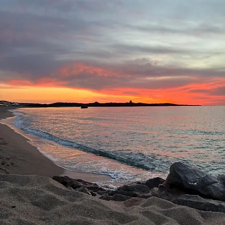 Sardegna Selvaggia A Due Passi Dal Mare