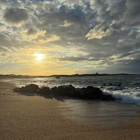 Sardegna Selvaggia A Due Passi Dal Mare Vignola Mare